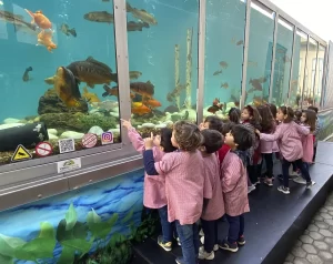 Crianças a olhar para um aquário